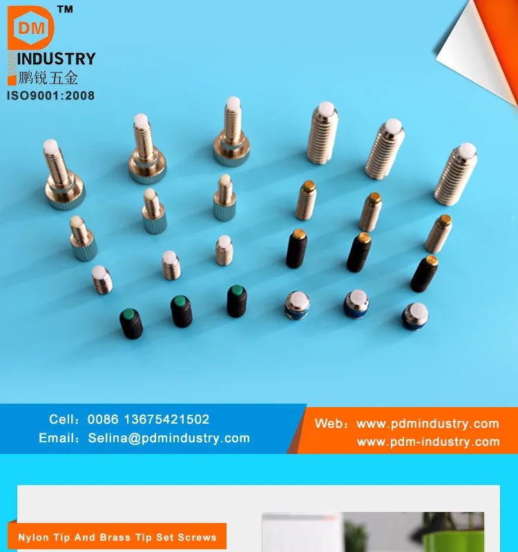 Customize Thumb Screw With Soft Nylon Tip Buy Nylon Tipped Screw