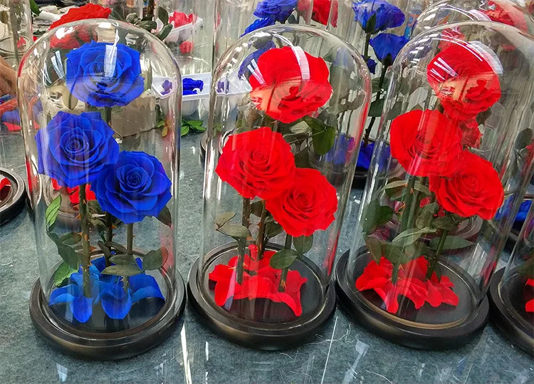 roses-in-glass-dome.jpg