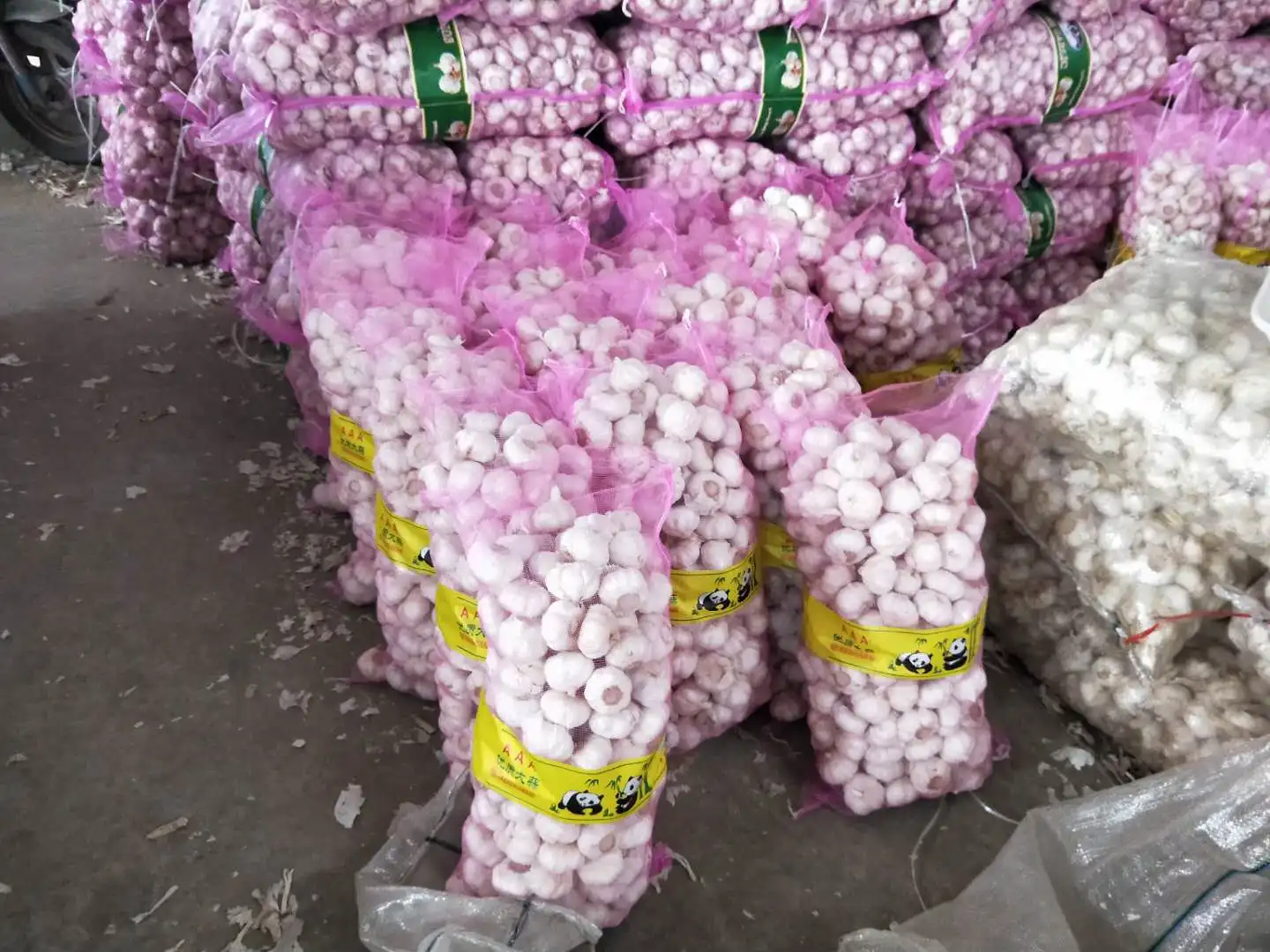 10千克网袋中国新鲜大蒜 5.0-6.0厘米热卖