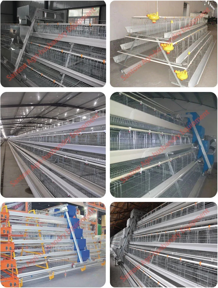 Poultry design layer chicken cages 128 layers per set