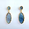 Dangle drop geometry epoxy resin stone with real shell paper inside fish stud earring for women