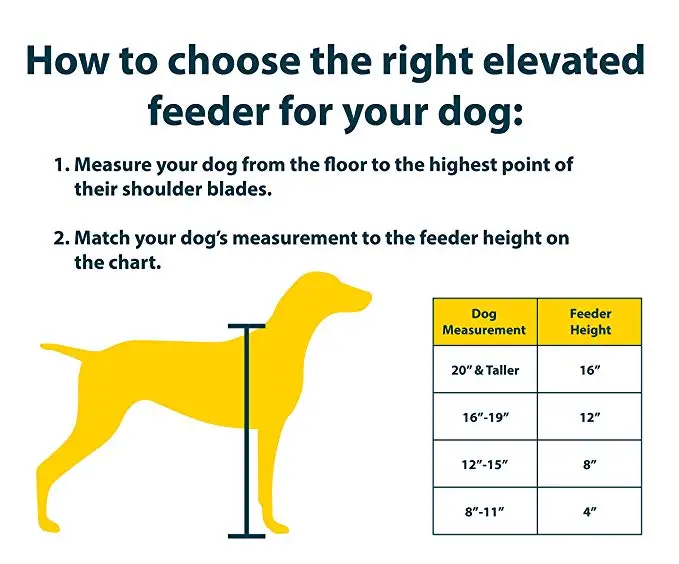 Pet Zone Designer Diner Adjustable Elevated Pet Feeder Raised Dog
