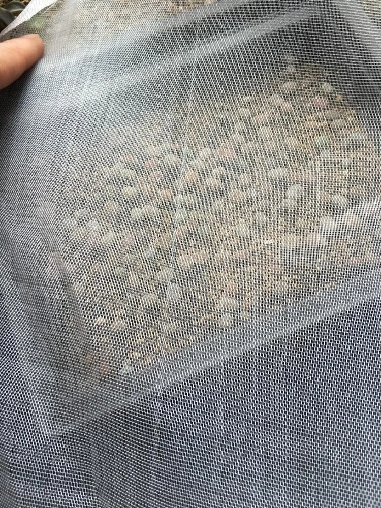 50 Mesh Anti Insect Netting For Farm Use/anti Insect Net For Garden