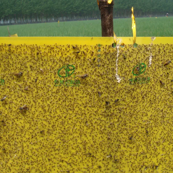 yellow sticky card.jpg