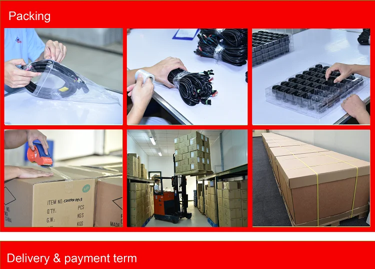 Customized Over Molding ISO9001 Certified Wiring Harness for Control Box Applications