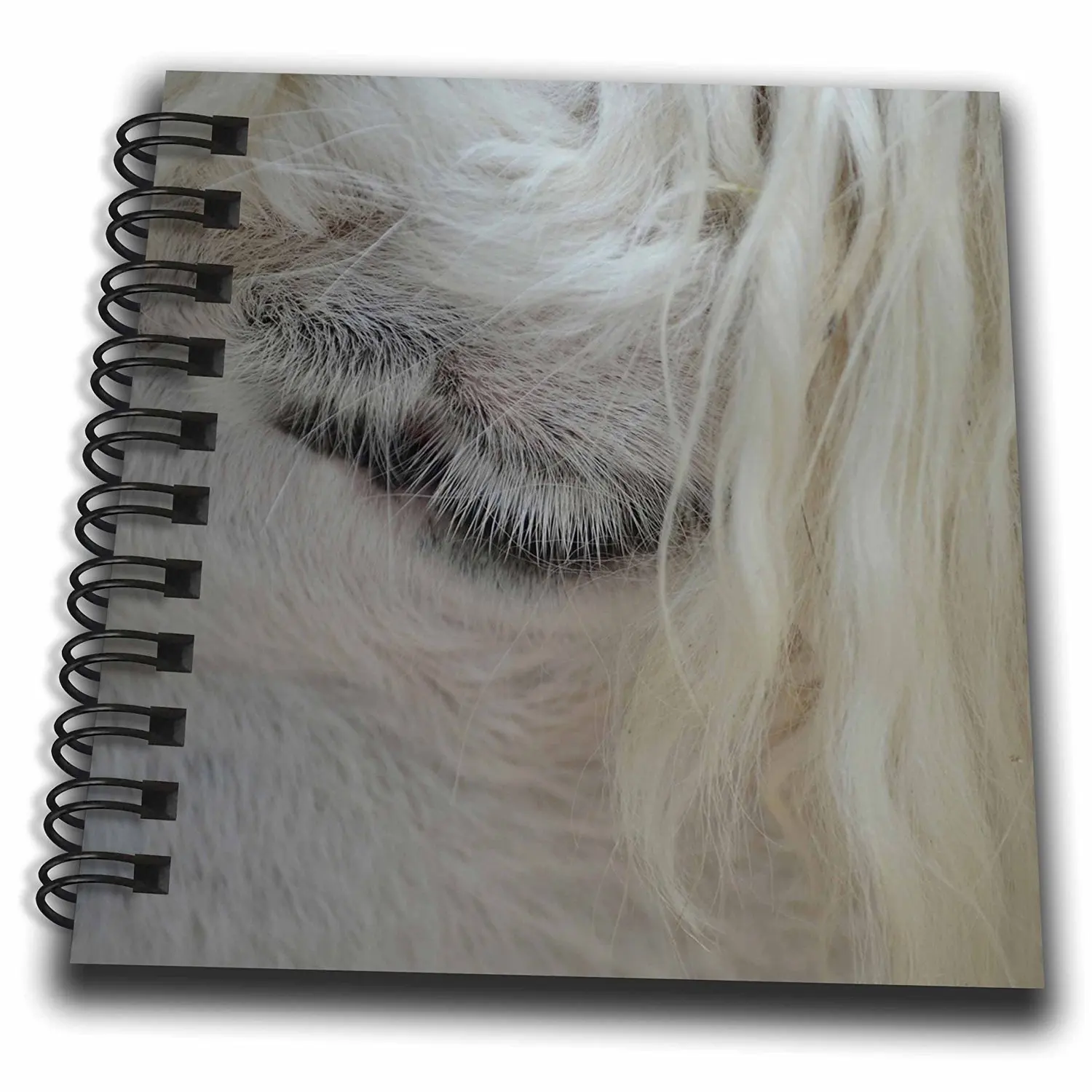 Susans Zoo Crew Animals - White Llama Eye Under Hair - Mini Notepad 4 x 4 inch (db_216030_3)