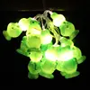 High quality china product frog string lights