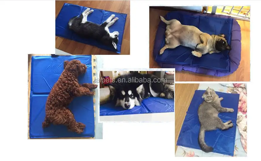 Large Summer Self Cool Summer Gel Pad Water Bed Dog Cooling Mat Wholesale Manufacturer