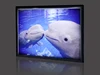 Bespoke Modern OEM and ODM diy advertising led light box/ led advertising board