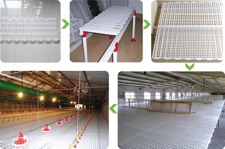 slat floor for chickens