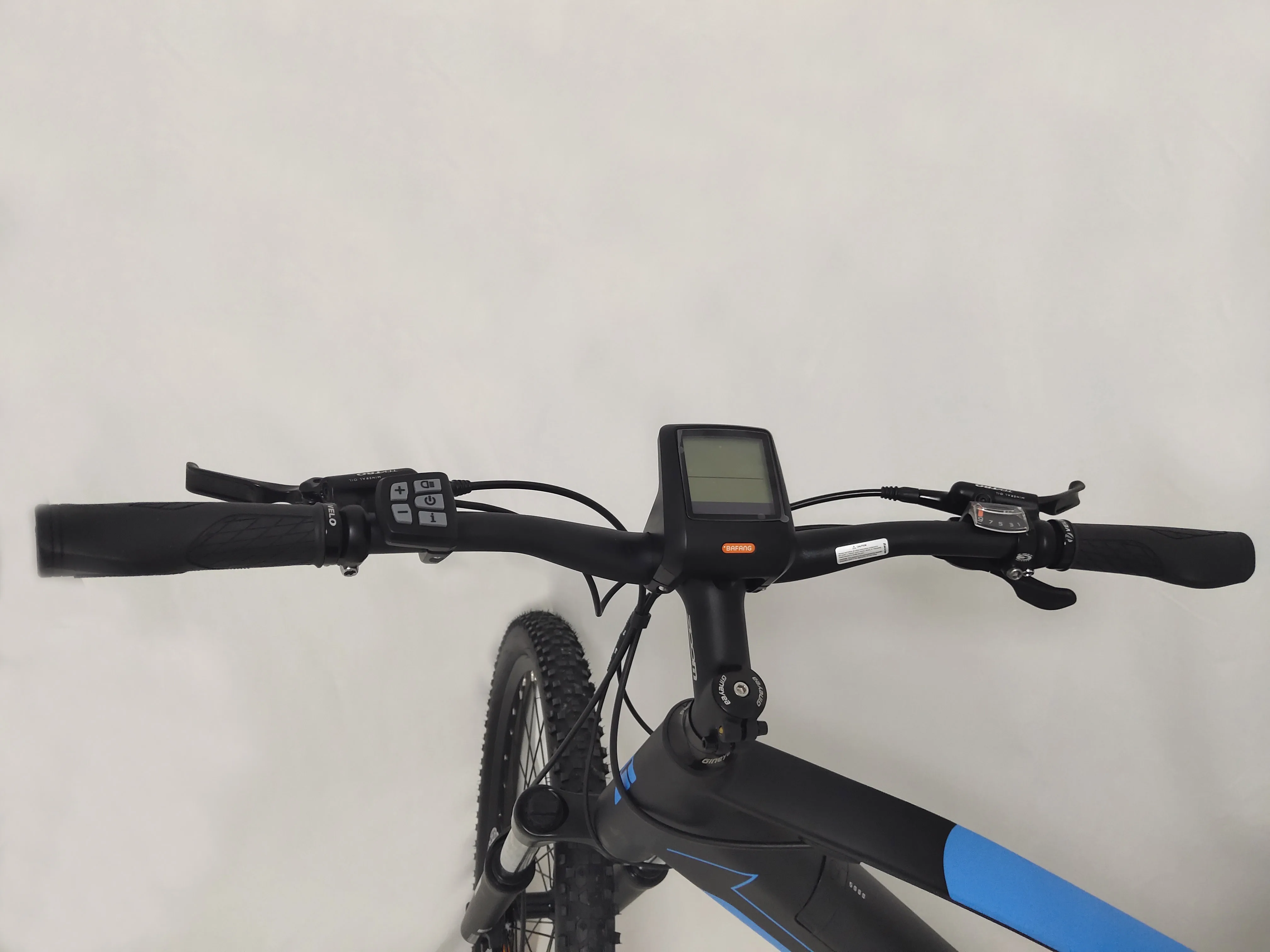 Petrigo Mtb Electric Bike Mid Drive Motor Electric Bicycle Fat E