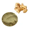 Health Benefits Of Ginger Extract 20% Gingerol Powder