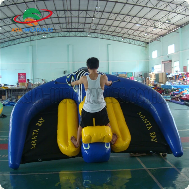 

Custom Flying Tube Inflatable Flying Manta Ray / Fly Fish Inflatable for Water Game
