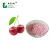 100% Natural and pure fruit powder acerola cherry extract powder VC 17%,25%,cherry powder