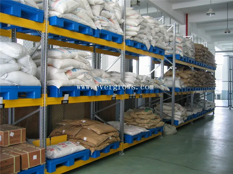 4 way standard size plastic pallets manufacturer malaysia with low price