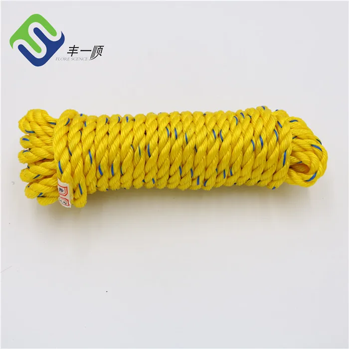 China Good Quality Pp Rope - 4 Strands Polyethylene Twisted PE ropes  6mmx200m With Customized Color – Florescence factory and manufacturers
