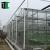 New design clips hot dip galvanized steel sheet roll greenhouse glass for tomato grow