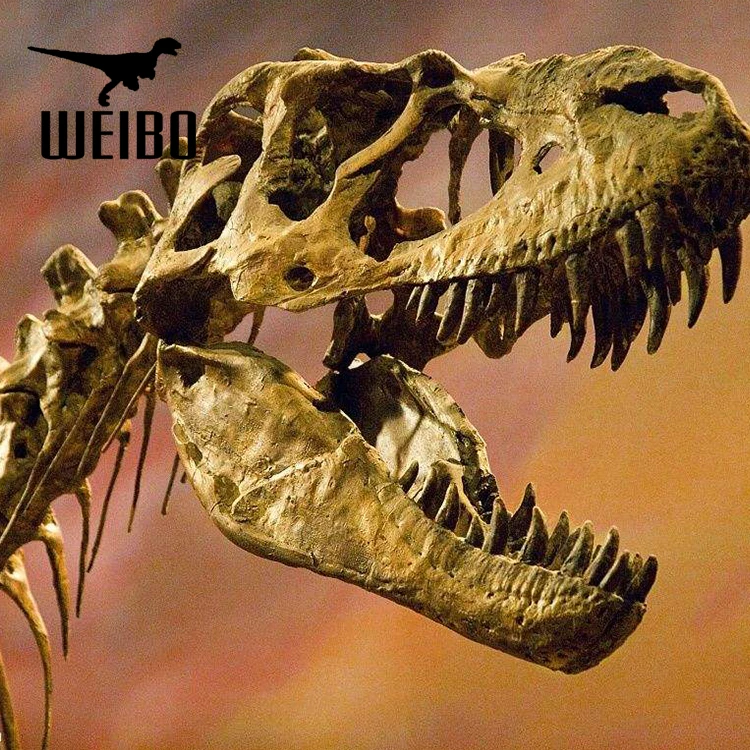 life size dinosaur skull replicas for sale