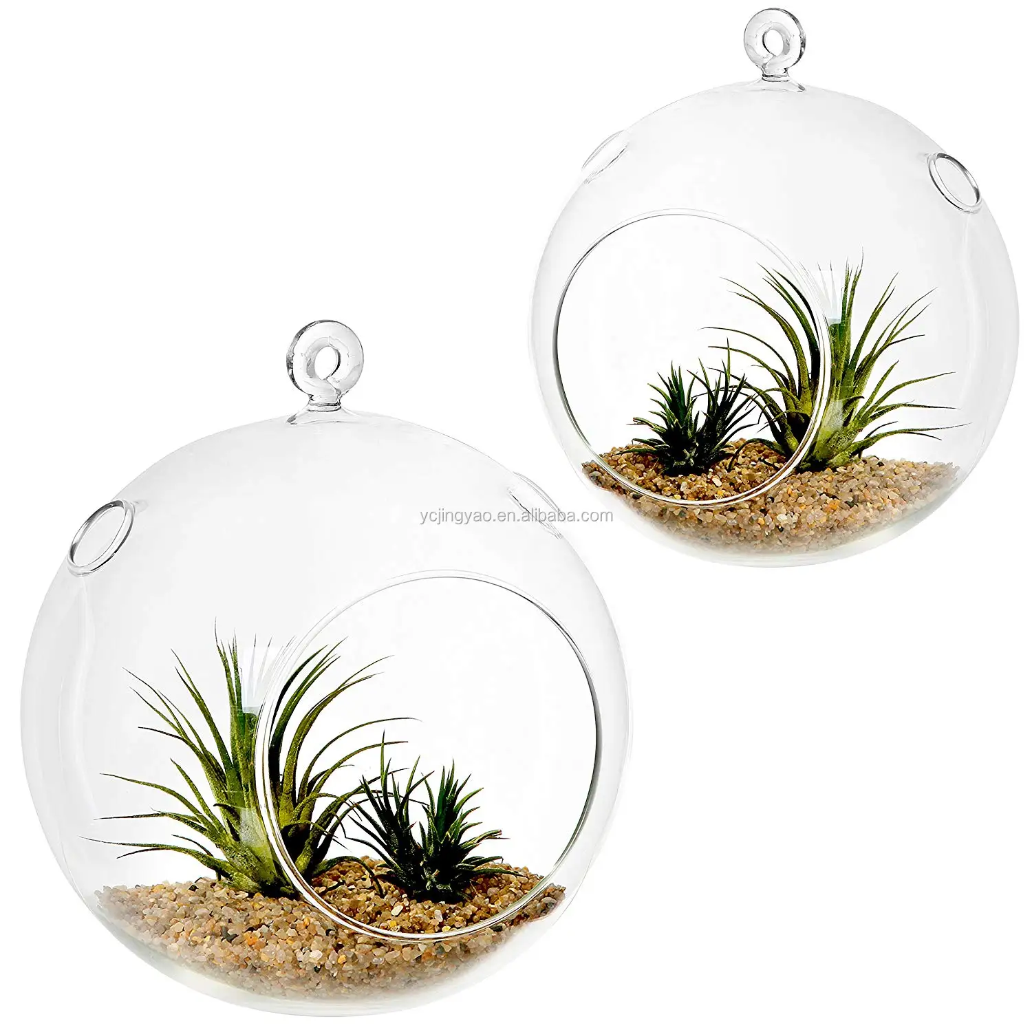

Handmade Clear Glass Vase Hanging Plant Terrarium Display Glass Tabletop Succulent Air Plant Planter Globe