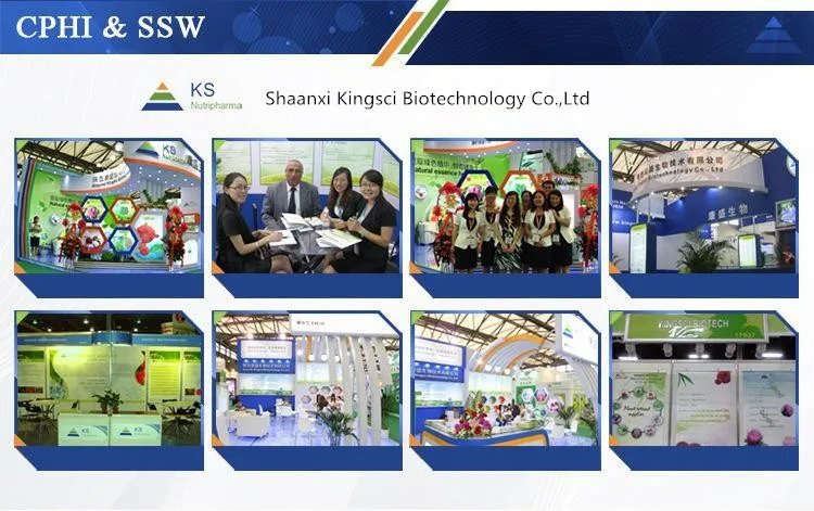 
Echinacea plant extract organic echinacea extract echinacea herb p.e. 2%~7%HPLC/UV 