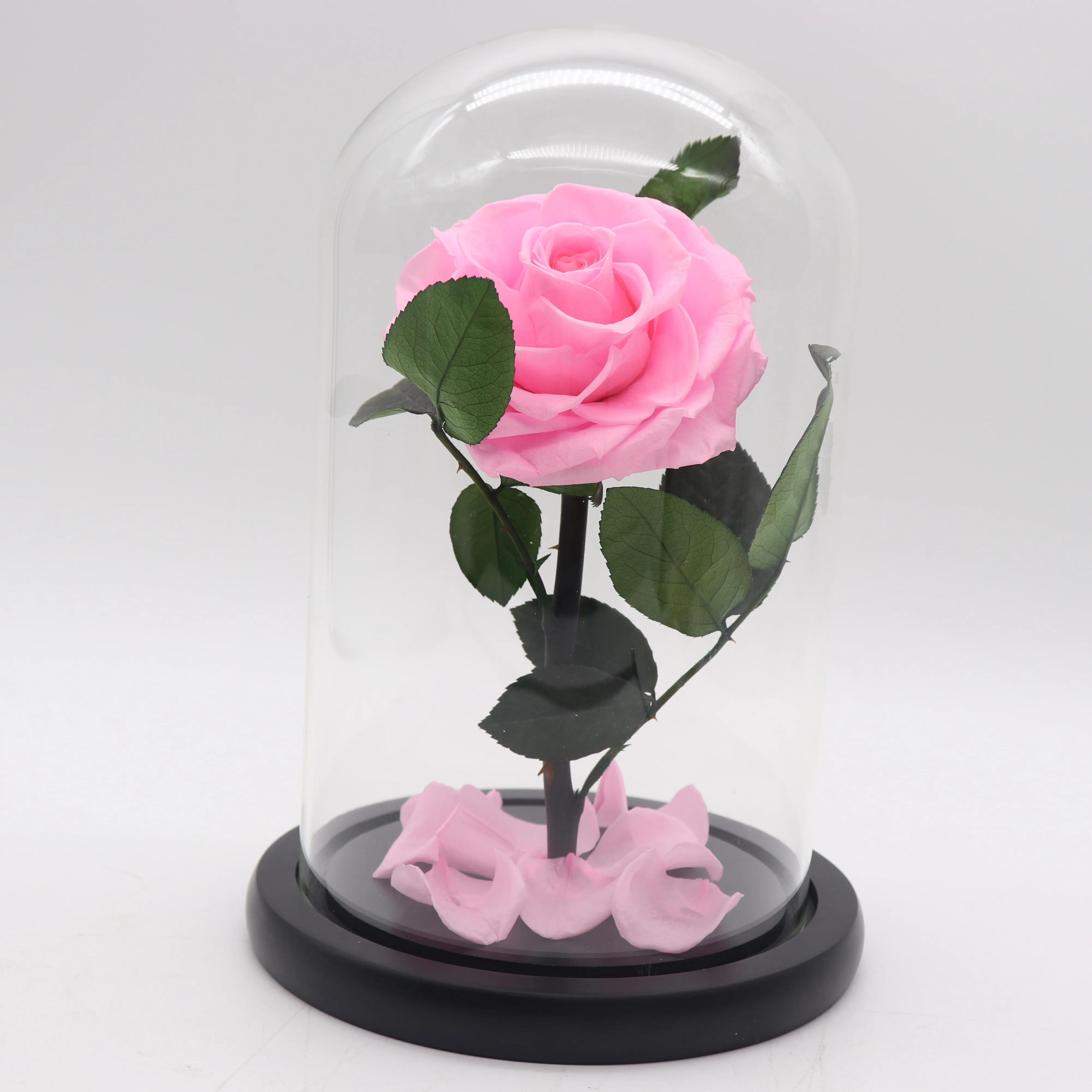 5-6 cm fresh cut flower from real natural preserved rose head