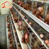 Poultry chicken cages high quality poultry house use chicken cages