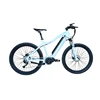 New design mountain electric bicycle mid drive on sale