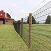 Australia star picket Y post for cattle fence/farm fence