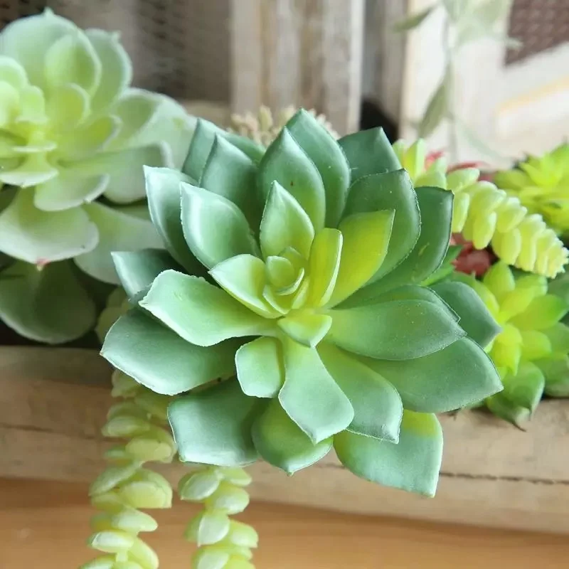 

Indoor decoration decor artificial succulent cabbage faux succulents flower plant, N/a