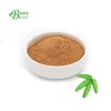 /product-detail/100-natural-sensitive-plant-extract-mimosa-hostilis-root-bark-extract-powder-60816297790.html