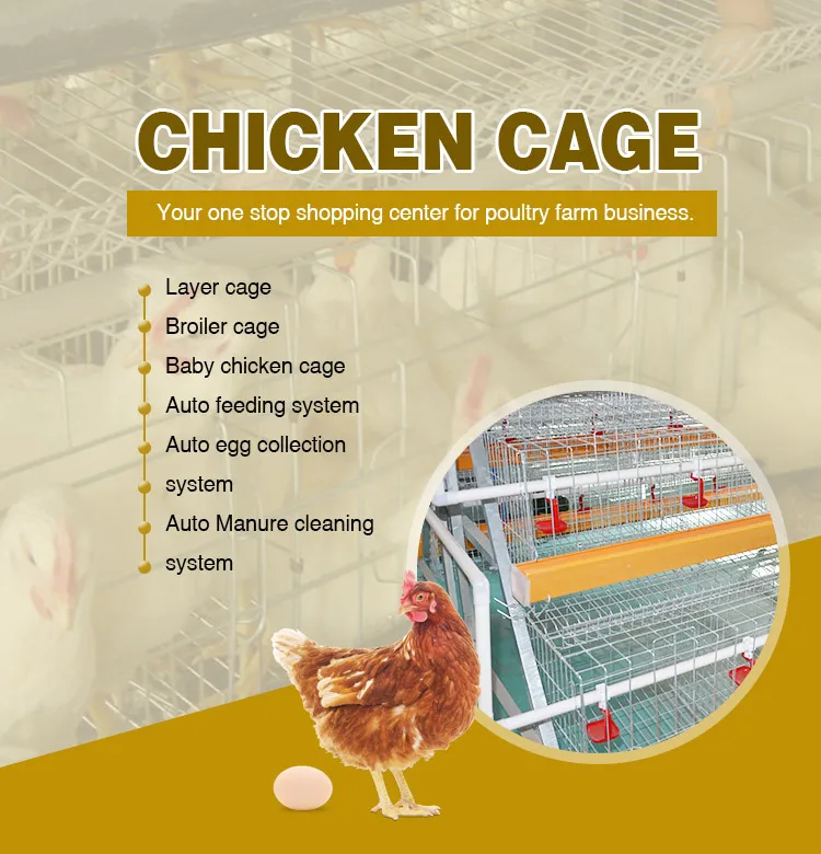 Design Pakistan Poultry Farm Poultry Chicken Cage House For Laying Hens ...