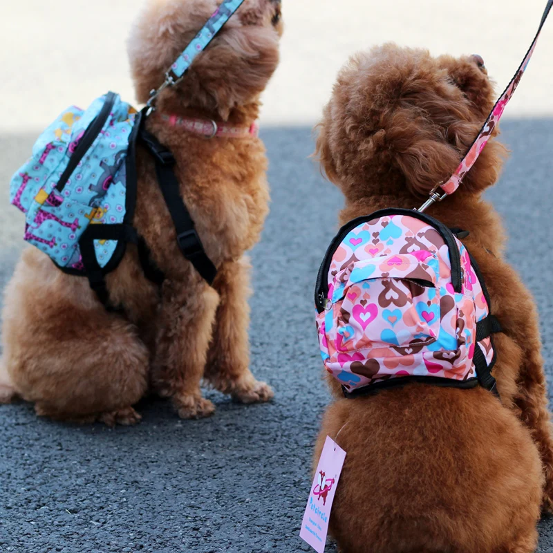 mini dog backpack