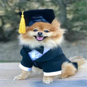 Image of Dog Hat Graduation For Small Cat Pet Costumes Bacherlor's Nurse Hat