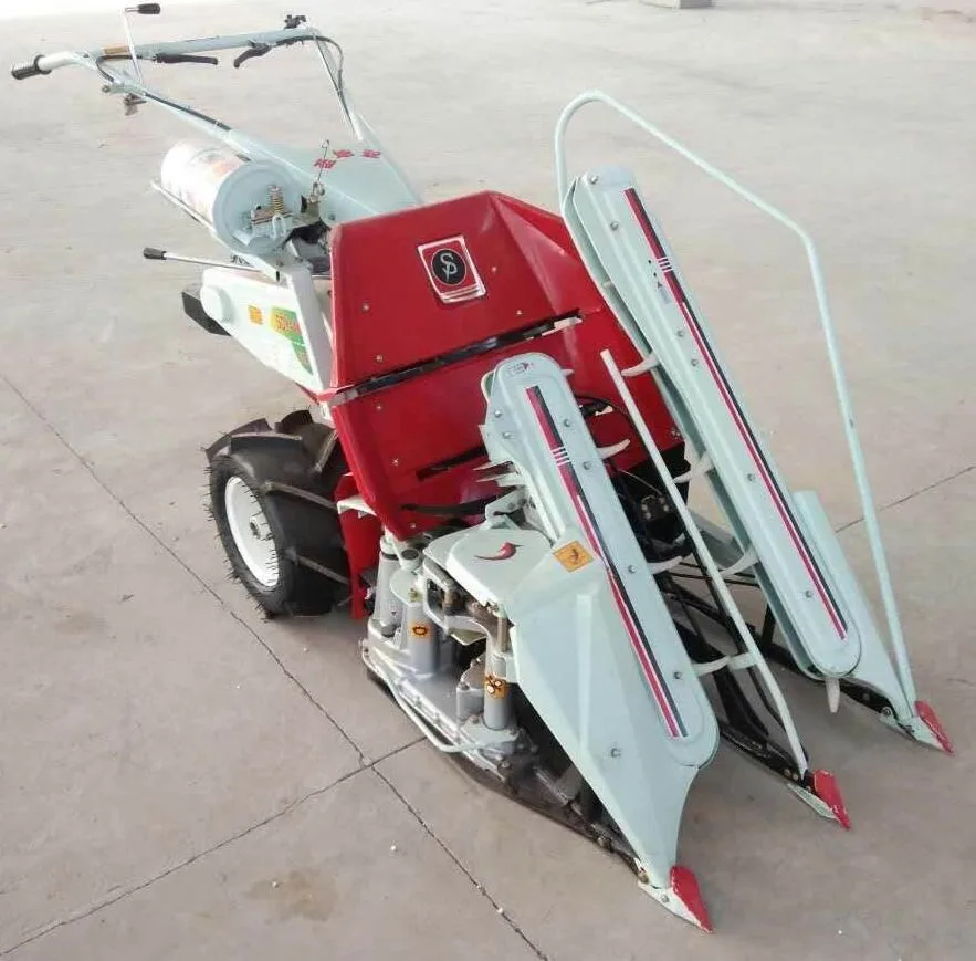 QQ20151031145505.jpg