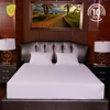2019 Waterproof Queen Bed Bug Mattress Encasement