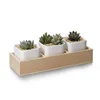 Hot Sale Personalized Handmade Ceramic Plant Container Box