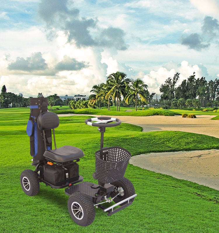 Cheap Folding Electric Vintage Mini Golf Carts For Sale Buy Electric