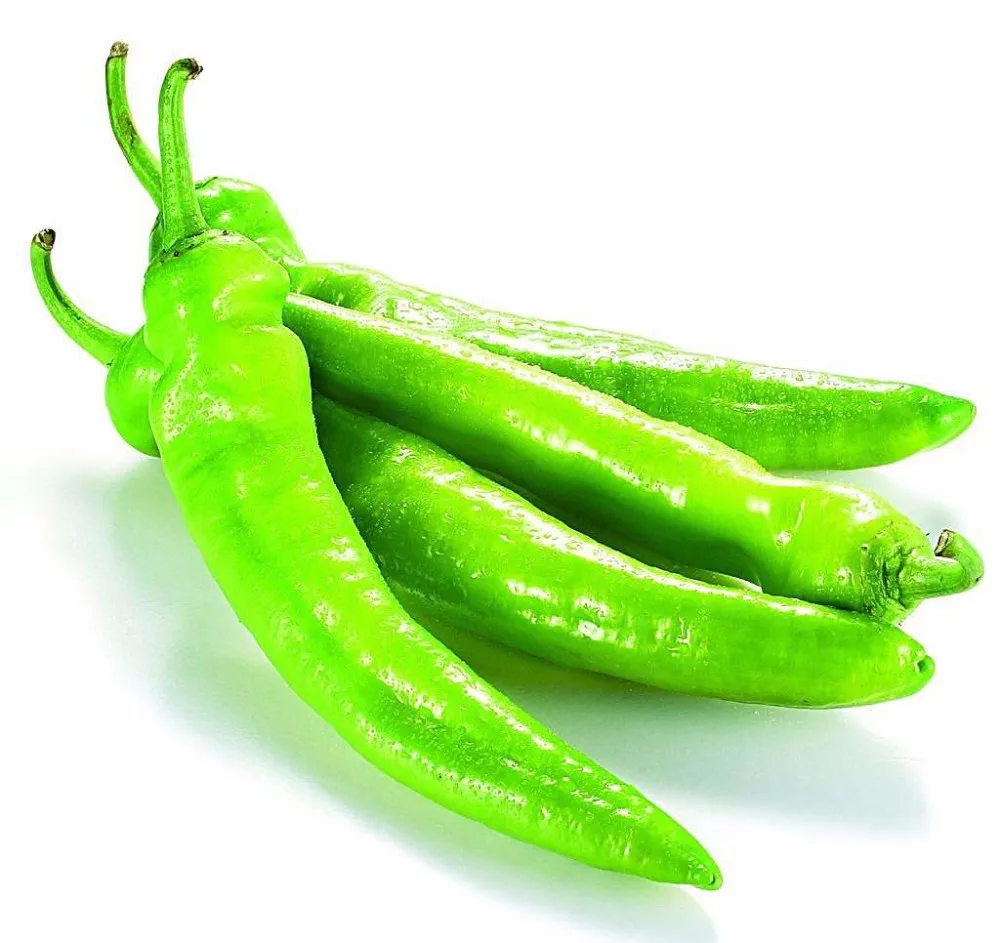 f1 hybrid green pepper vegetable seeds sxp no.