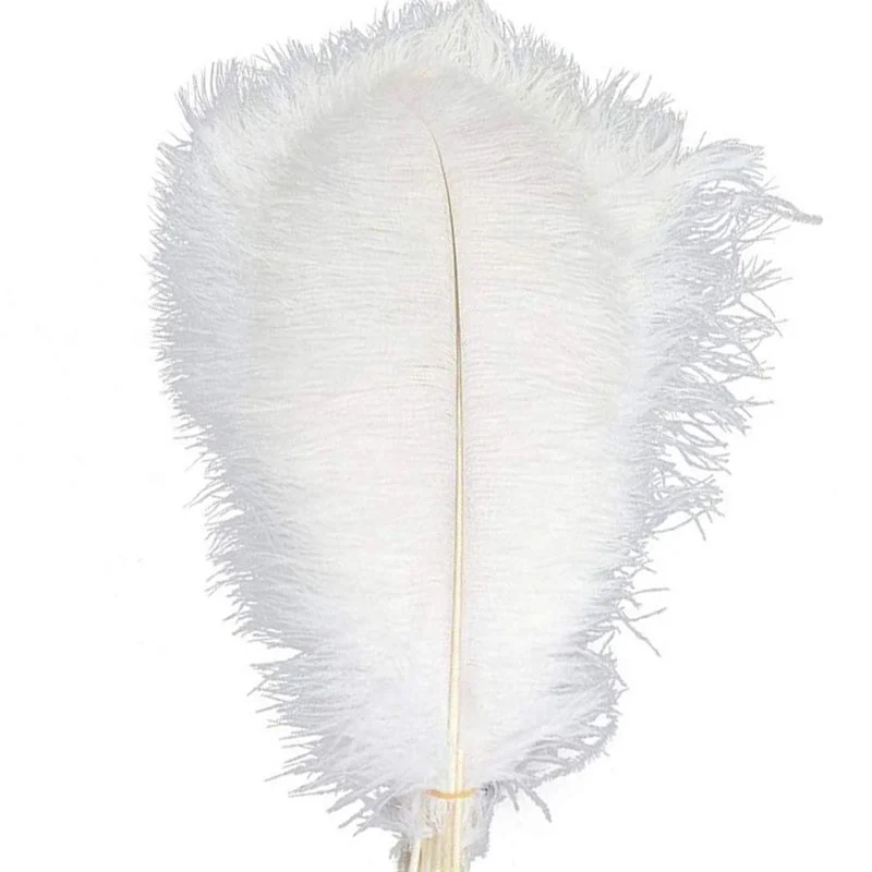 Real Feathers Cheap Ostrich Feathers 