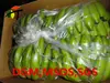 Kiwi fruit keep freshing agent,refresh absorber