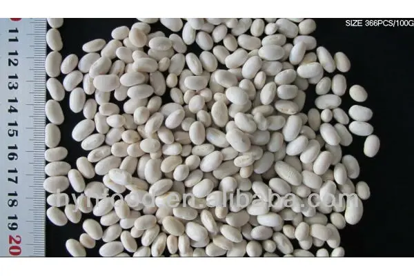 white_kidney_beans8.jpg
