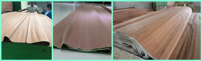 AB Grade Rotary Cut Natural PLB Wood Face Veneer For Plywood