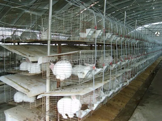 3 Tiers 12 Doors Rabbit Breeding Used Rabbit Cages For Sale In Pakistan