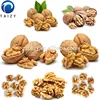 Walnut Shelling Machine walnut processing equipment distributor