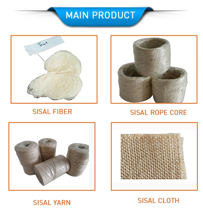 Top Quality 100% Natural Sisal Fiber Price