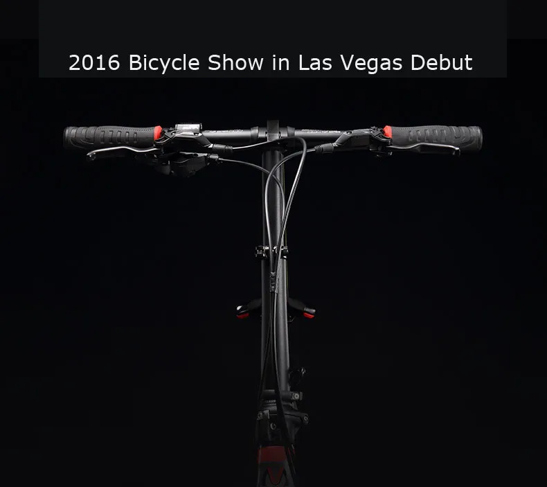 carbon folding bike 7.jpg