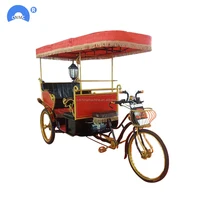 

48V 800W four passenger electric passenger tricycle/rickshaw