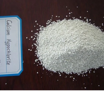 paste-pic-dp_uuid_yq6tz