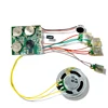 recordable sound chip for promotional items
