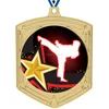 High quality Shield Insert blank Karate Medal